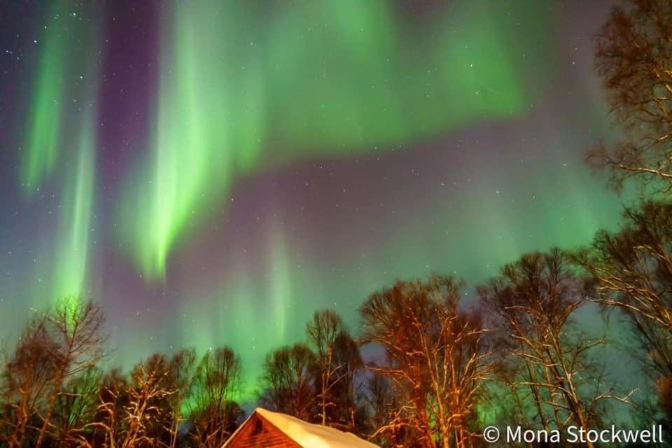 Susitna River Lodging, Suites Talkeetna Exteriör bild