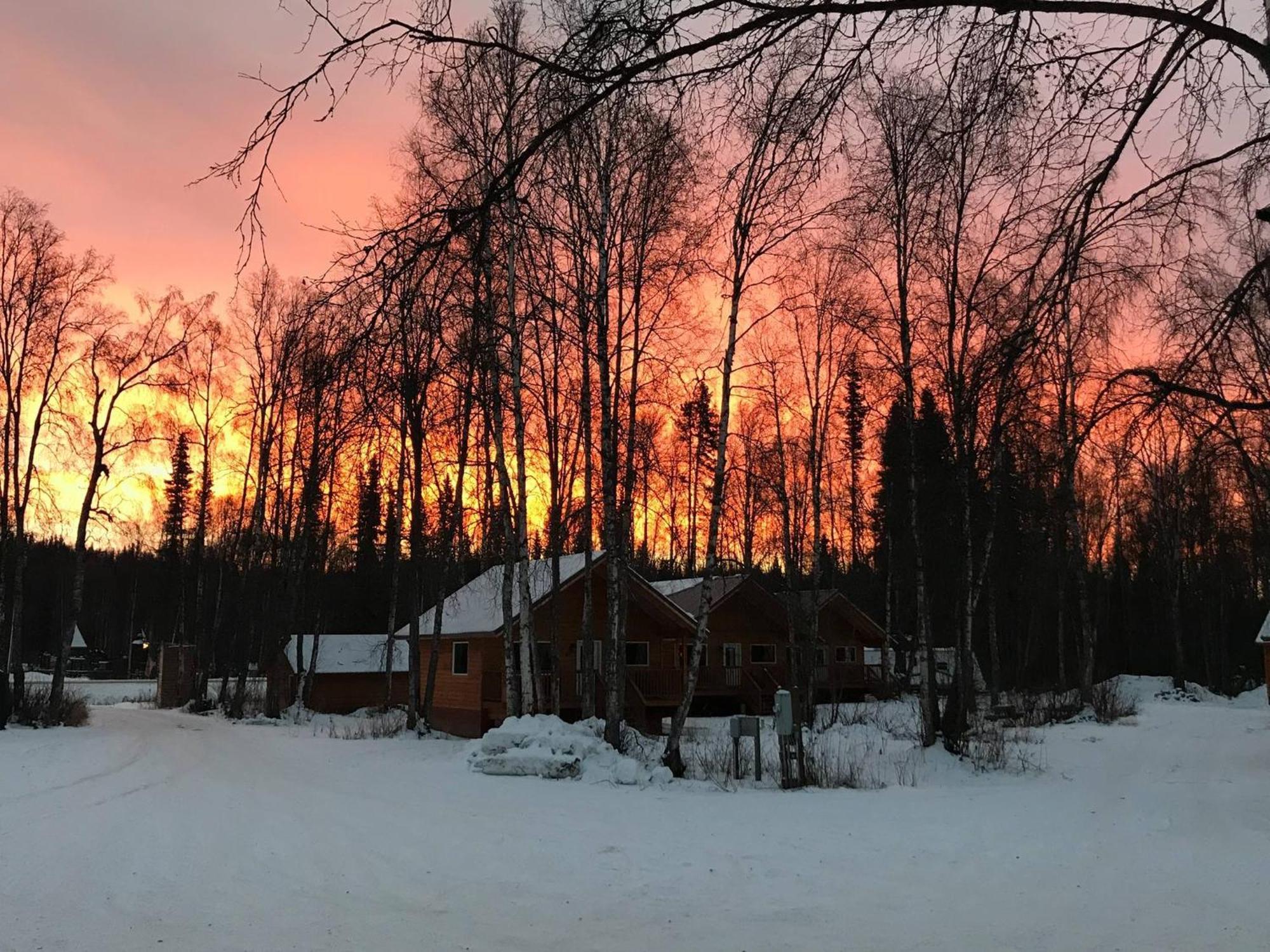 Susitna River Lodging, Suites Talkeetna Exteriör bild